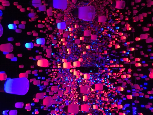 ffd328dc02a71a3b-photo.JPG - 2019Jan Tokyo